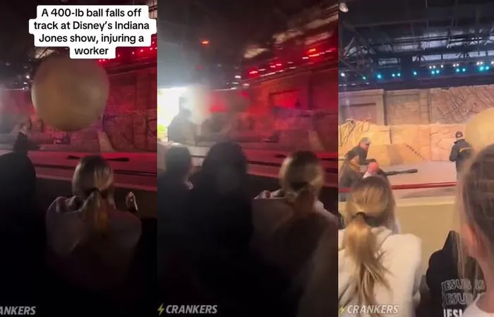 Disney Employee Saves Audience Members From MASSIVE 400lb boulder