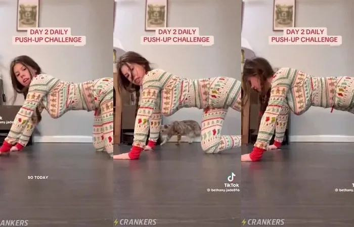 Liberal Tear Creator™ - How many push ups can you do? Be honest.