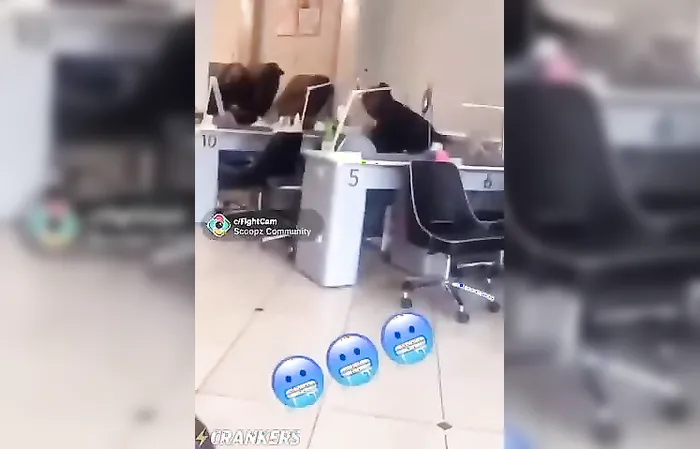 Amiri King - A violent black woman beats an Asian lady for not accepting her EBT c...