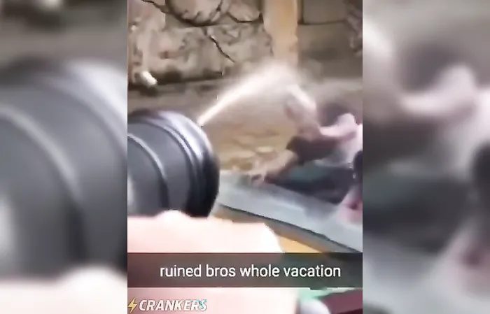 Crazy Clips - She ruined his entire vacation with that one????