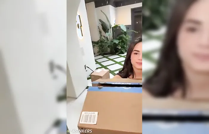 WHAT'S IN THE BOX
