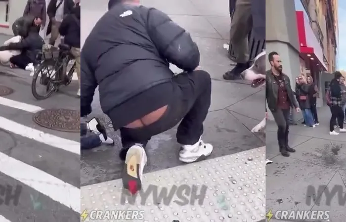 Pit bull attacked a toddler on the streets of New York