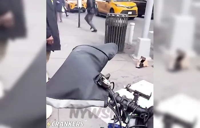 Pit bull attacked a toddler on the streets of New York
