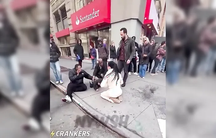 Pit bull attacked a toddler on the streets of New York