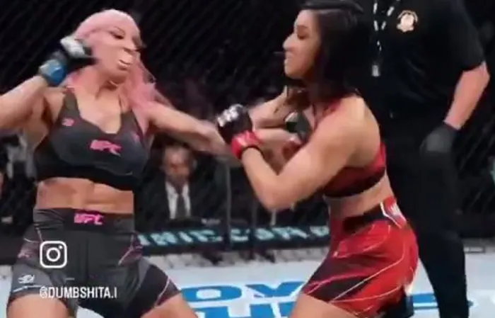 Nikki Minaj vs Cardi B UFC fight on PPV