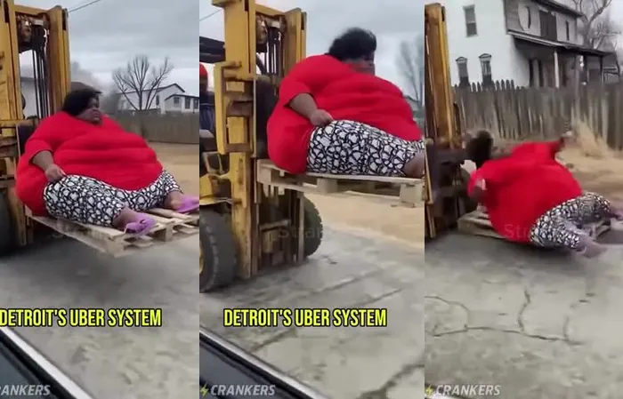 Detroit's Uber System
