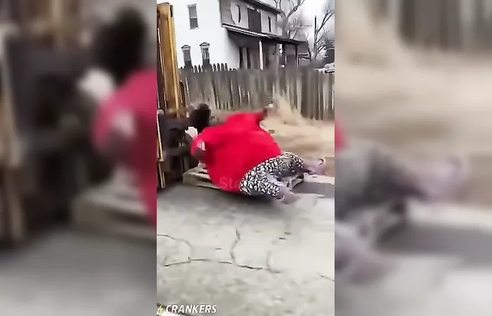 Detroit's Uber System