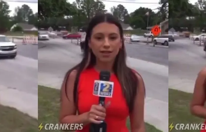 Fun Viral Vids ???? - The risks involved of being a hot reporter ????