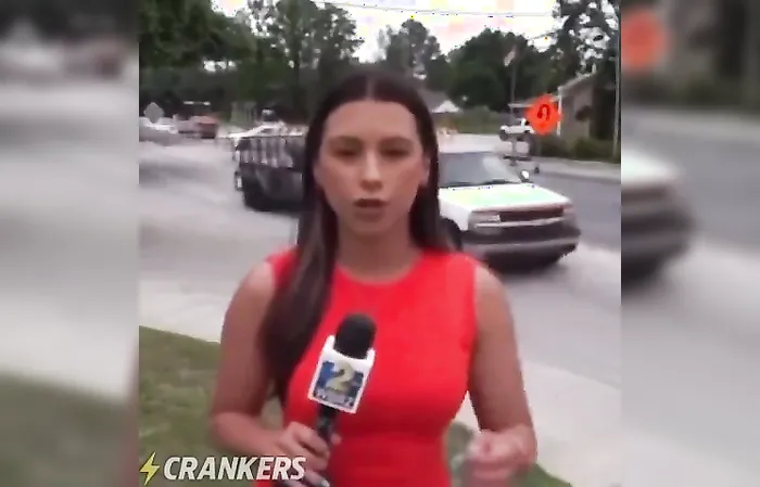 Fun Viral Vids ???? - The risks involved of being a hot reporter ????