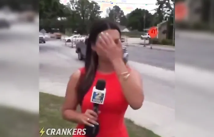 Fun Viral Vids ???? - The risks involved of being a hot reporter ????