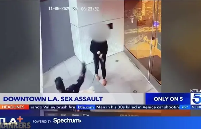 Woman walking dog in LA gets sexually assaulted by a homeless scumbag in broad daylight