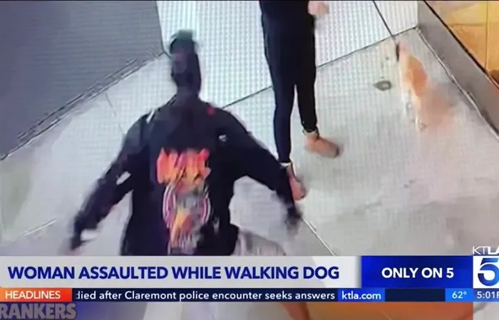 Woman walking dog in LA gets sexually assaulted by a homeless scumbag in broad daylight