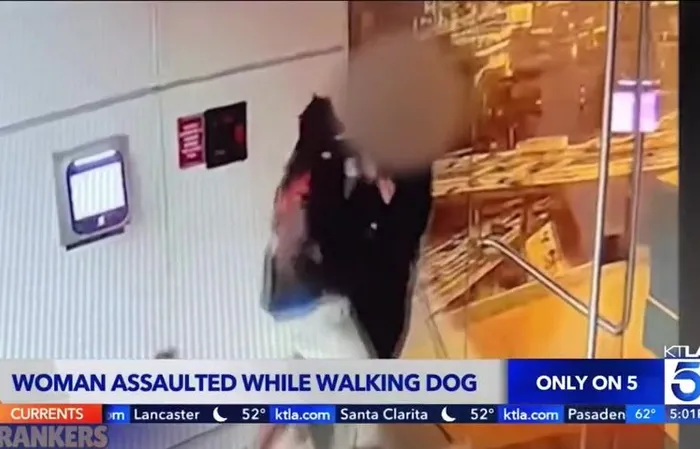Woman walking dog in LA gets sexually assaulted by a homeless scumbag in broad daylight