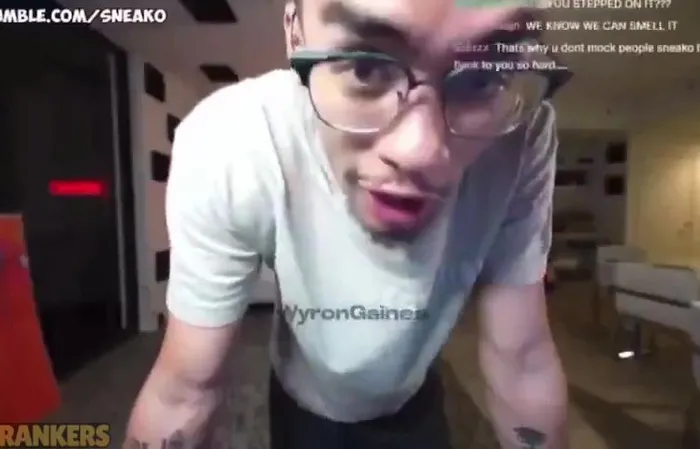 Streamer named Sneako cussing out dogs is next level pathetic