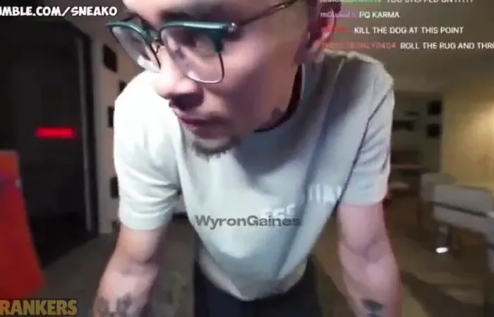 Streamer named Sneako cussing out dogs is next level pathetic