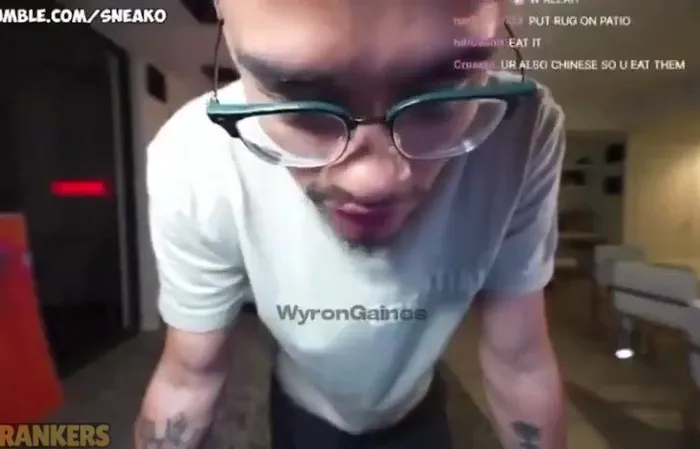 Streamer named Sneako cussing out dogs is next level pathetic