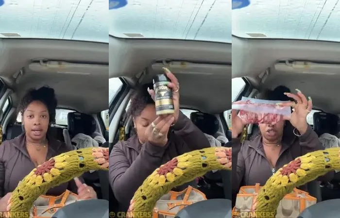 Food Stamps Gone, Morals Gone Too!  Woman Caught Showing Off Stolen Groceries Online