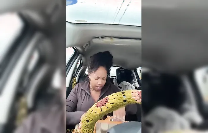 Food Stamps Gone, Morals Gone Too!  Woman Caught Showing Off Stolen Groceries Online