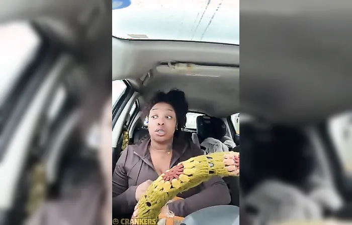 Food Stamps Gone, Morals Gone Too!  Woman Caught Showing Off Stolen Groceries Online
