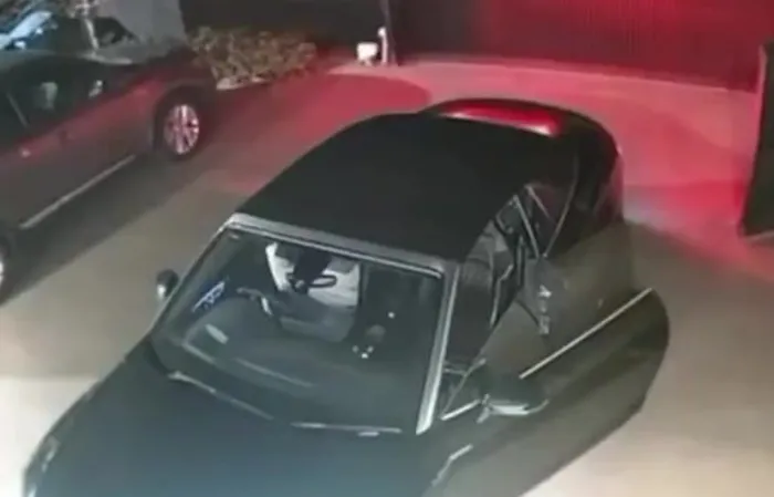 Guy BARKS at thieves trying to steal car