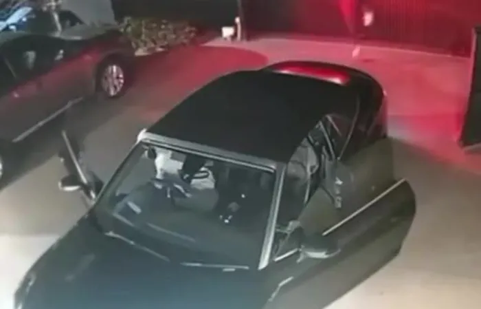 Guy BARKS at thieves trying to steal car