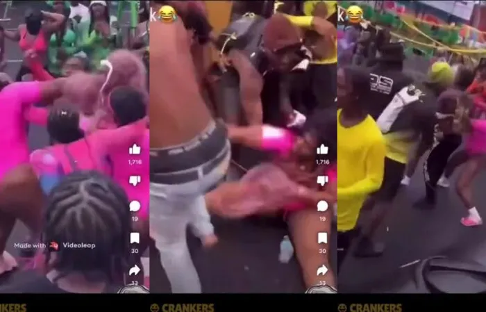 Group of chicks beating the crap out of each other