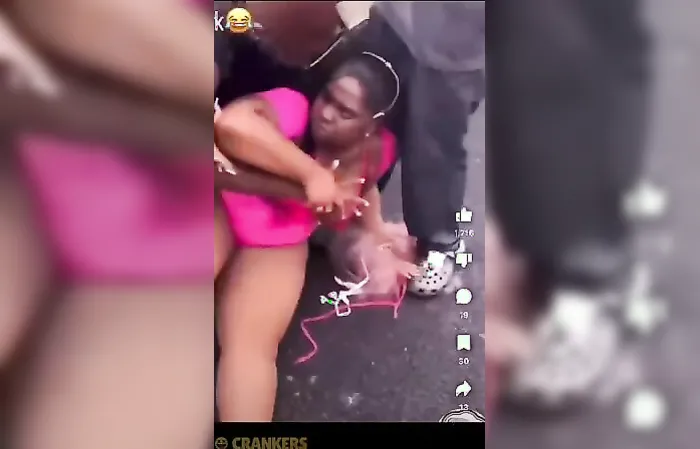 Group of chicks beating the crap out of each other