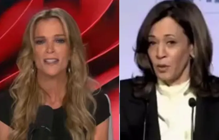 Megyn Kelly demoralizes Trump-hating media figures who wanted America to fail