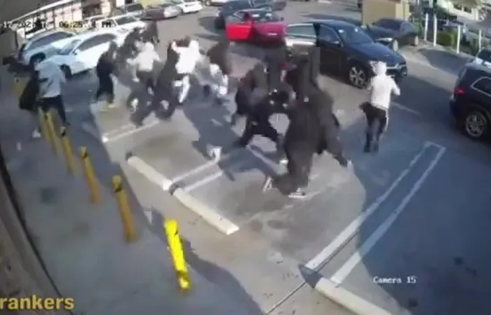 Five cars filled with cockroaches scatter after jewelry store owner opens fire