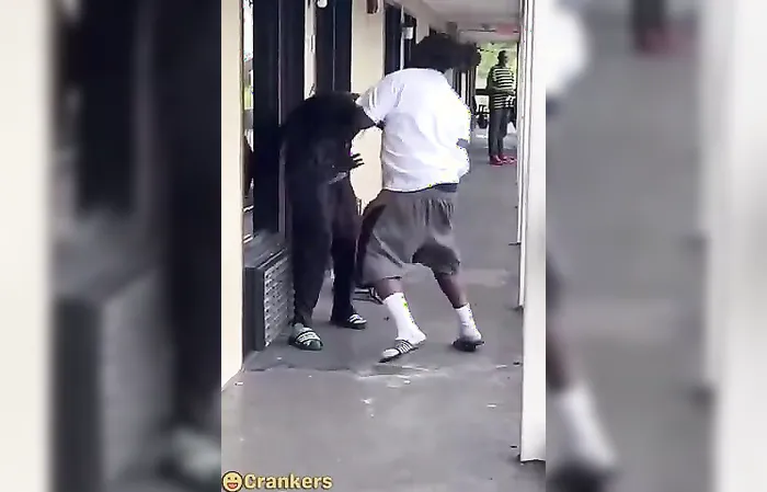 How to block a punch WITH YOUR FACE