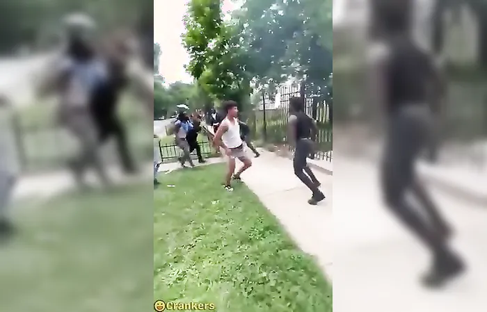 Dude knocks out opponent, fight ends the way it should