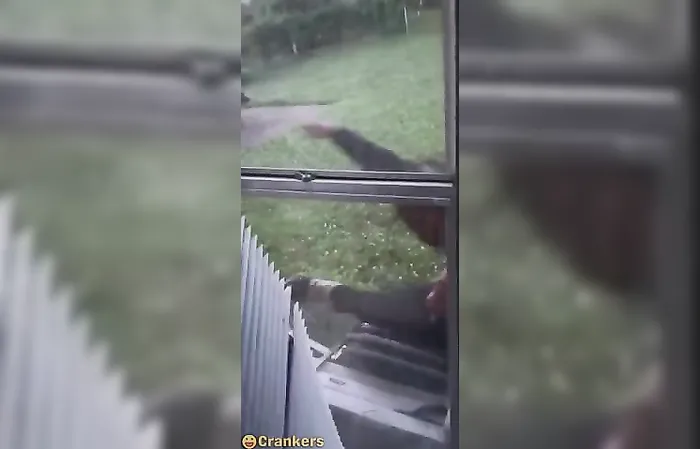 He tries breaking in, what do you do?