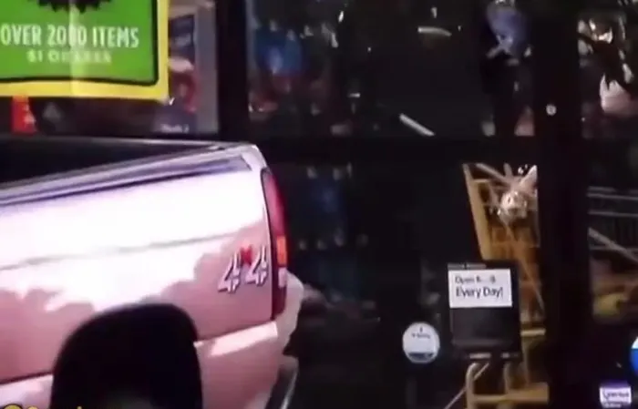 FAFO: Armed robber vs police