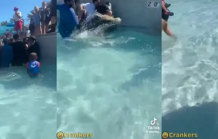 Soak City Waterpark brawl, right in front of the damn kids
