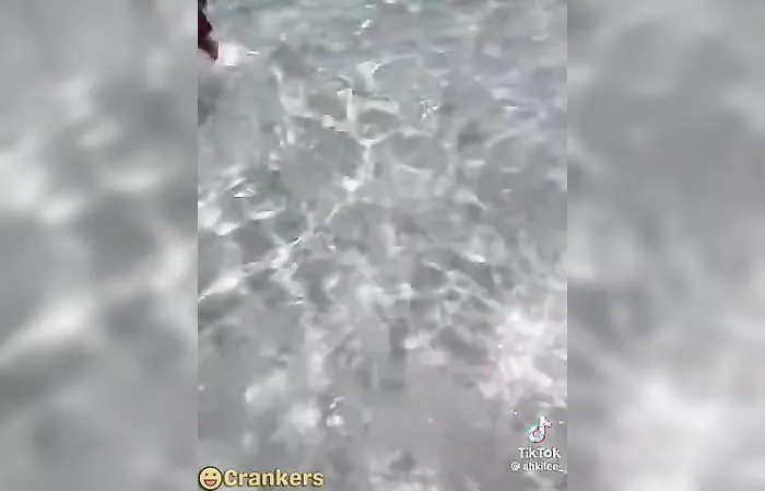 Soak City Waterpark brawl, right in front of the damn kids