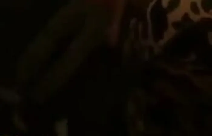 Trans woman knocked into another dimension for saying the N word