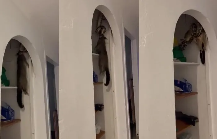 TIME TO MOVE OUT OF THE HOUSE