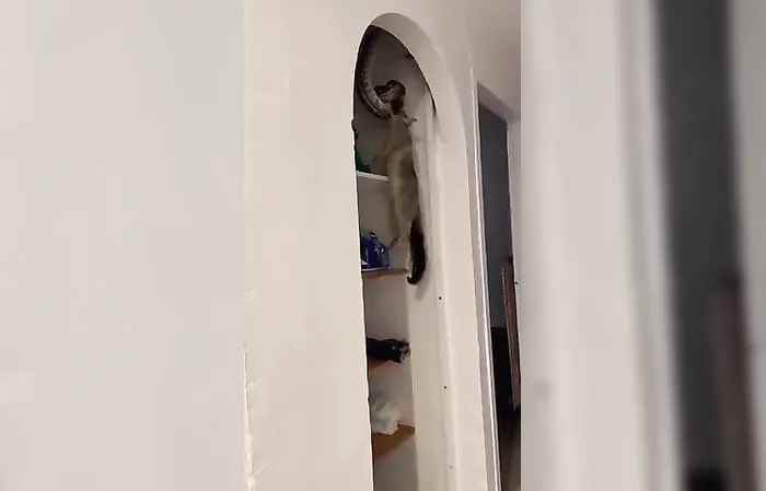 TIME TO MOVE OUT OF THE HOUSE