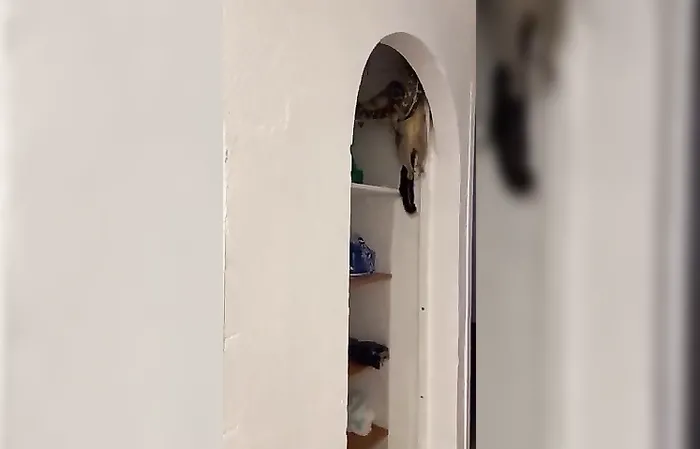 TIME TO MOVE OUT OF THE HOUSE