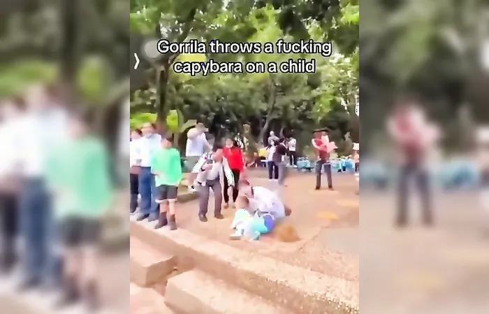 Gorilla throws pile of dirt at child