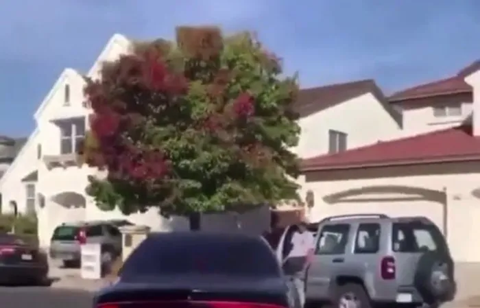 To be fair, he asked for it