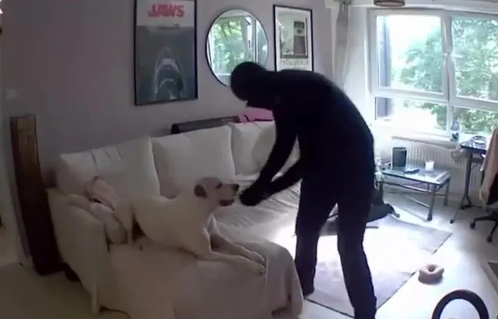Worst staged video ever