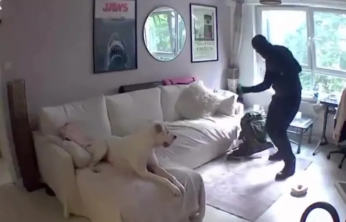 Worst staged video ever