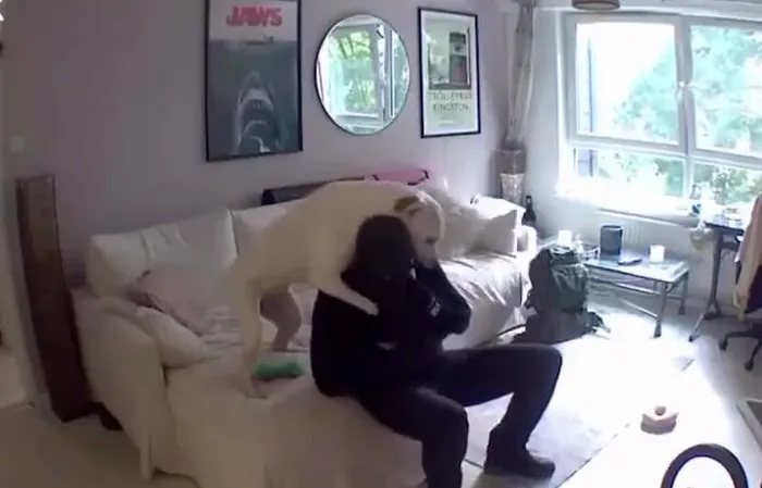 Worst staged video ever
