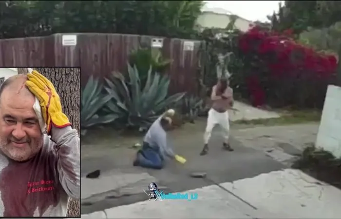 Homeless man beats gardener
