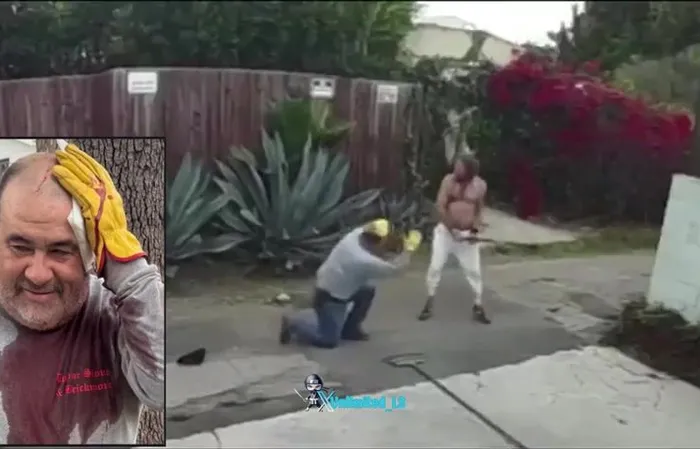 Homeless man beats gardener