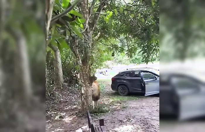This guy's day keeps getting worse