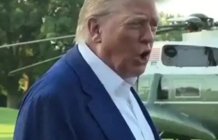 They don't know what the f*ck they're doing - Trump MC Hammer remix
