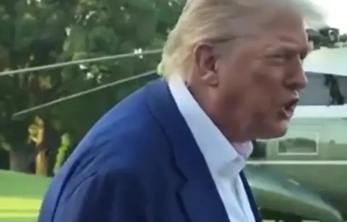 They don't know what the f*ck they're doing - Trump MC Hammer remix