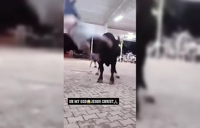 Man vs Bull - who ya got?